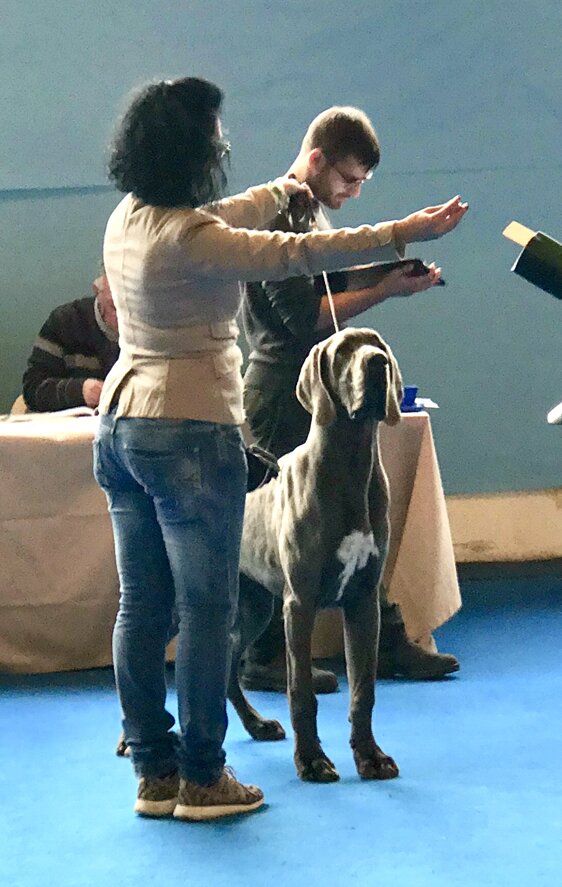 a70c41cf-e25e-4944-bddd-334359e7a25b