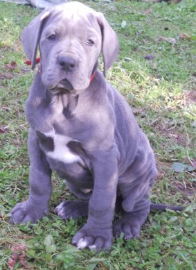 bd078f45-0944-4589-ab9a-186504bd0a40