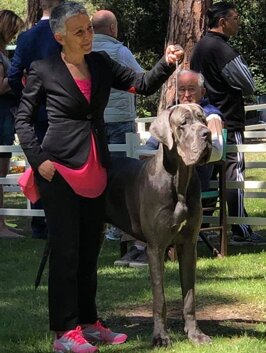 8b7cc177-6ec7-4dc4-a589-3772666e0929