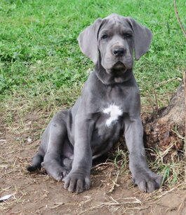 feb9e9a9-4b61-431b-8e25-766f31057276