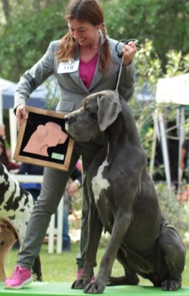 6da3c27b-20a3-480b-9a00-dff23f57d4c9