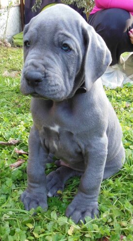 76606d63-f399-490e-aee1-46e882030f76