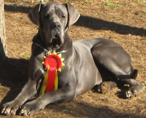 65a00dd1-5668-42d5-b4b8-39fd9e20df75