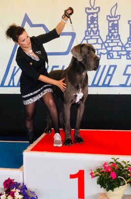 9b56d69c-0cf9-4da5-899f-a518b9794e0d