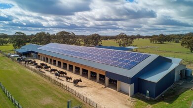 e1eada02-227a-45b1-a38a-fd650141b999.jpeg e1eada02-227a-45b1-a38a-fd650141b999.jpeg