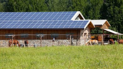 25aaf1ba-2ce3-4057-81ad-0b08c200d870.jpeg 25aaf1ba-2ce3-4057-81ad-0b08c200d870.jpeg