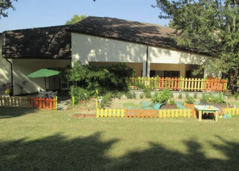 screenshot 2026-01-20 (19.55.19)