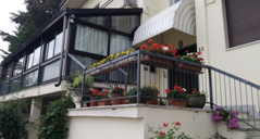 screenshot 2026-01-20 (19.48.00)