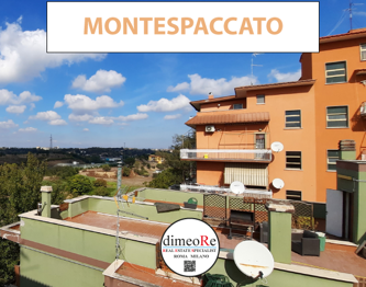 montespaccato