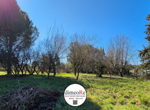 VENDITA ORIOLO ROMANO VENDITA ORIOLO ROMANO