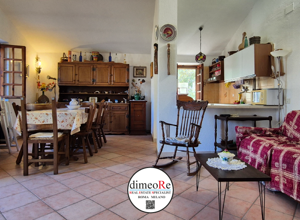 VENDITA ORIOLO ROMANO VENDITA ORIOLO ROMANO