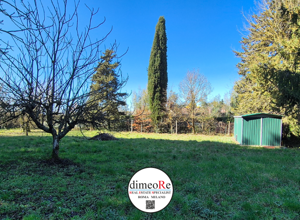 VENDITA ORIOLO ROMANO VENDITA ORIOLO ROMANO