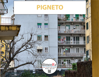 pigneto
