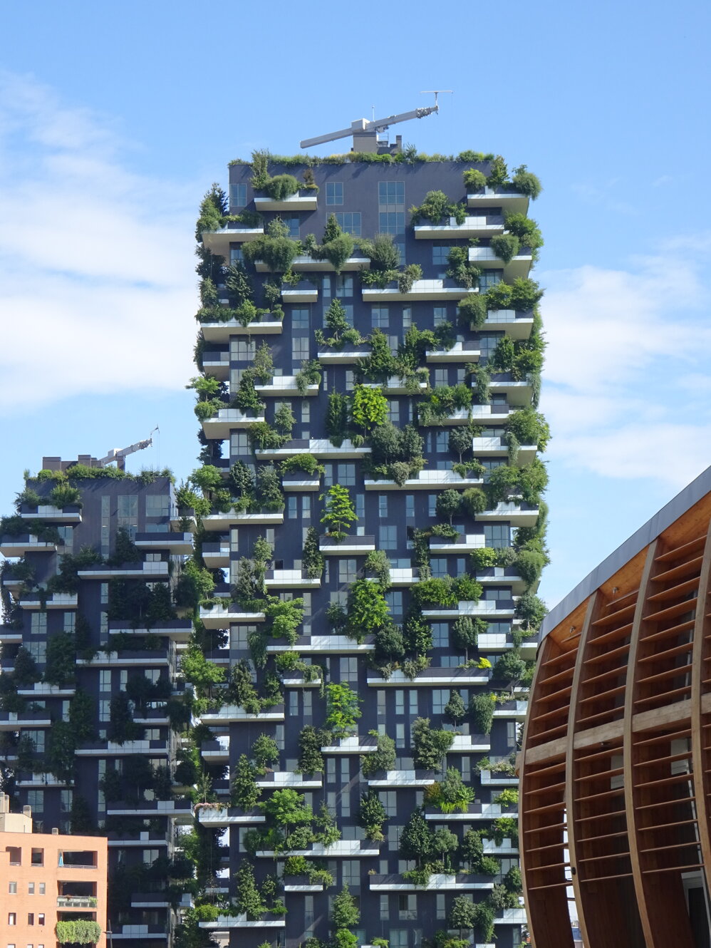 dsc03259.jpeg dsc03259.jpeg