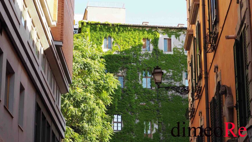 c6231c7e-9a18-46f2-b2d9-c4543978b9b6