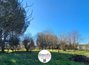 VENDITA ORIOLO ROMANO VENDITA ORIOLO ROMANO