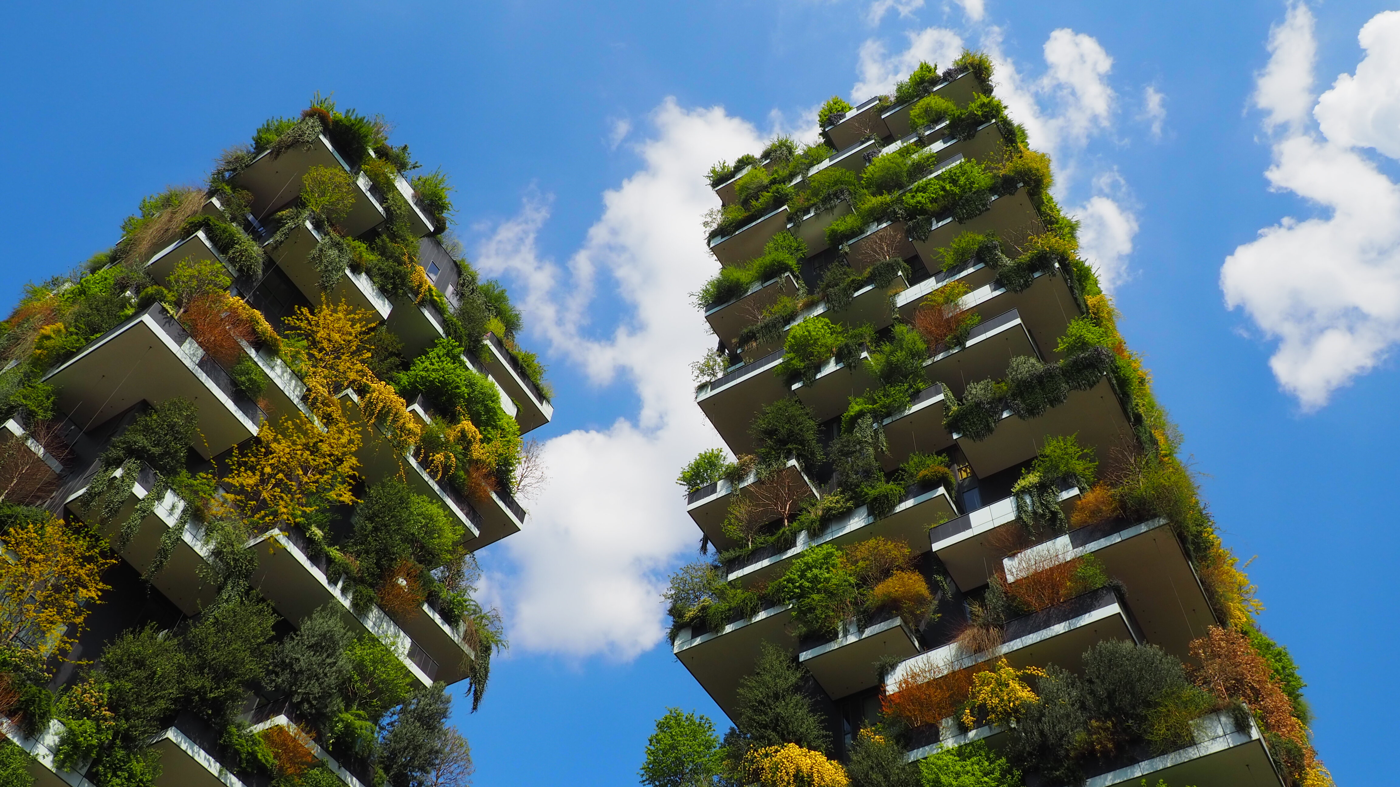 Milano - Cortina 2026 verso le Olimpiadi.....!!!