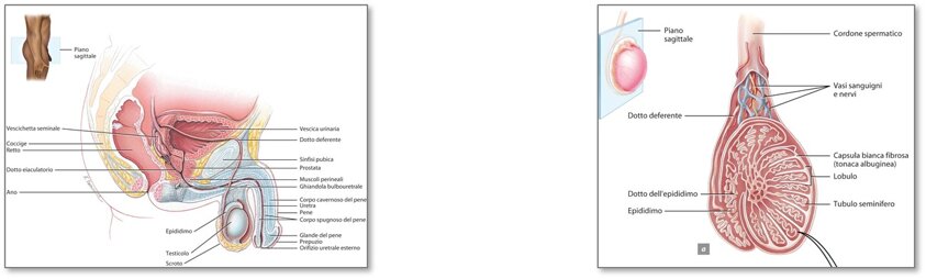 3b1f6cf2-233c-490f-bdf7-85b3e0d35f7b