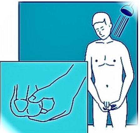 27c17582-8445-4ebc-884f-31636b217b74