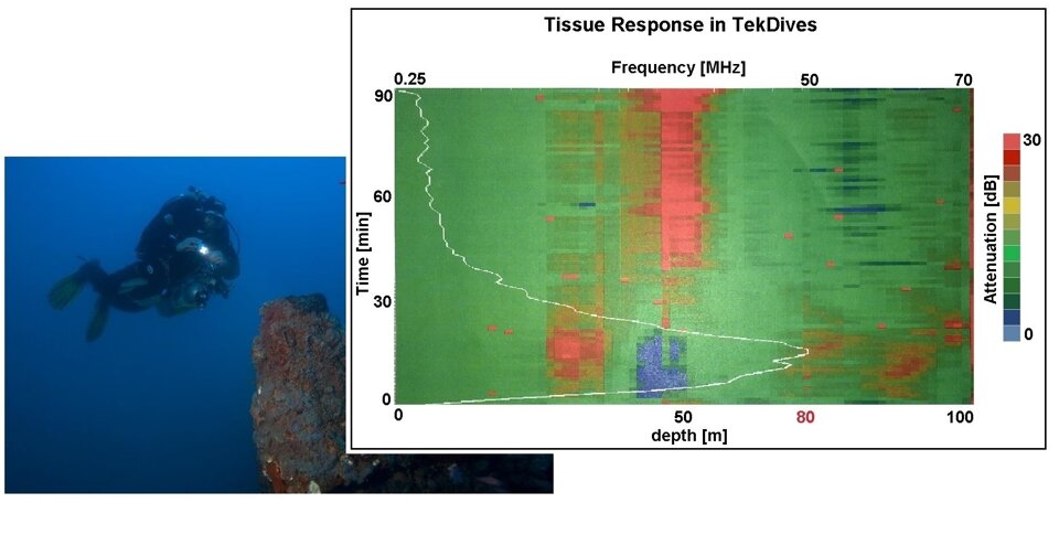 Massgeschneiderte Projekte f�r jedes Milieu