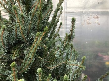 dc7c778d-4d0b-49ab-9a41-a7a941f0e8ff