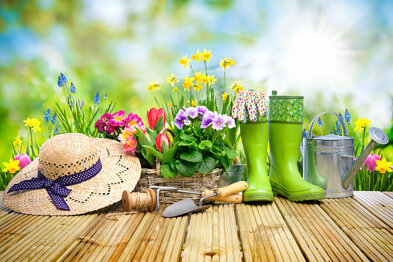 511726102-gardening-tools-and-flowers-on-the-terrace