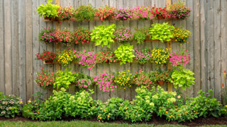 Idee di giardinaggio