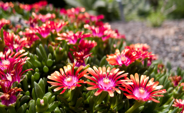 27eb435f-a3b8-4993-8bef-8592aacdf9df