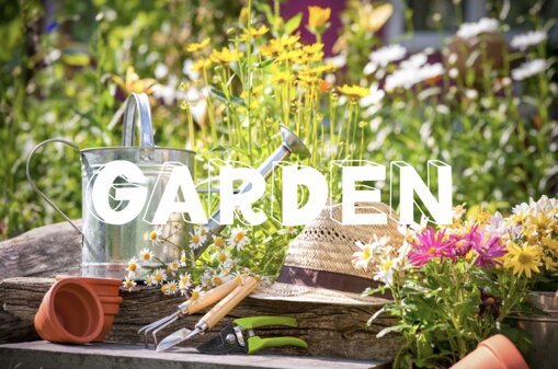 2c56736e-714c-47ac-82db-80f1d9a01999