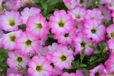 47b1f441-1c70-4d1c-9985-1e7229f768d8