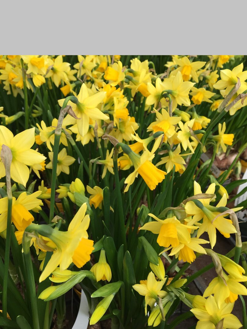 19e5d241-a766-462c-b63f-ee82fdbf52cd