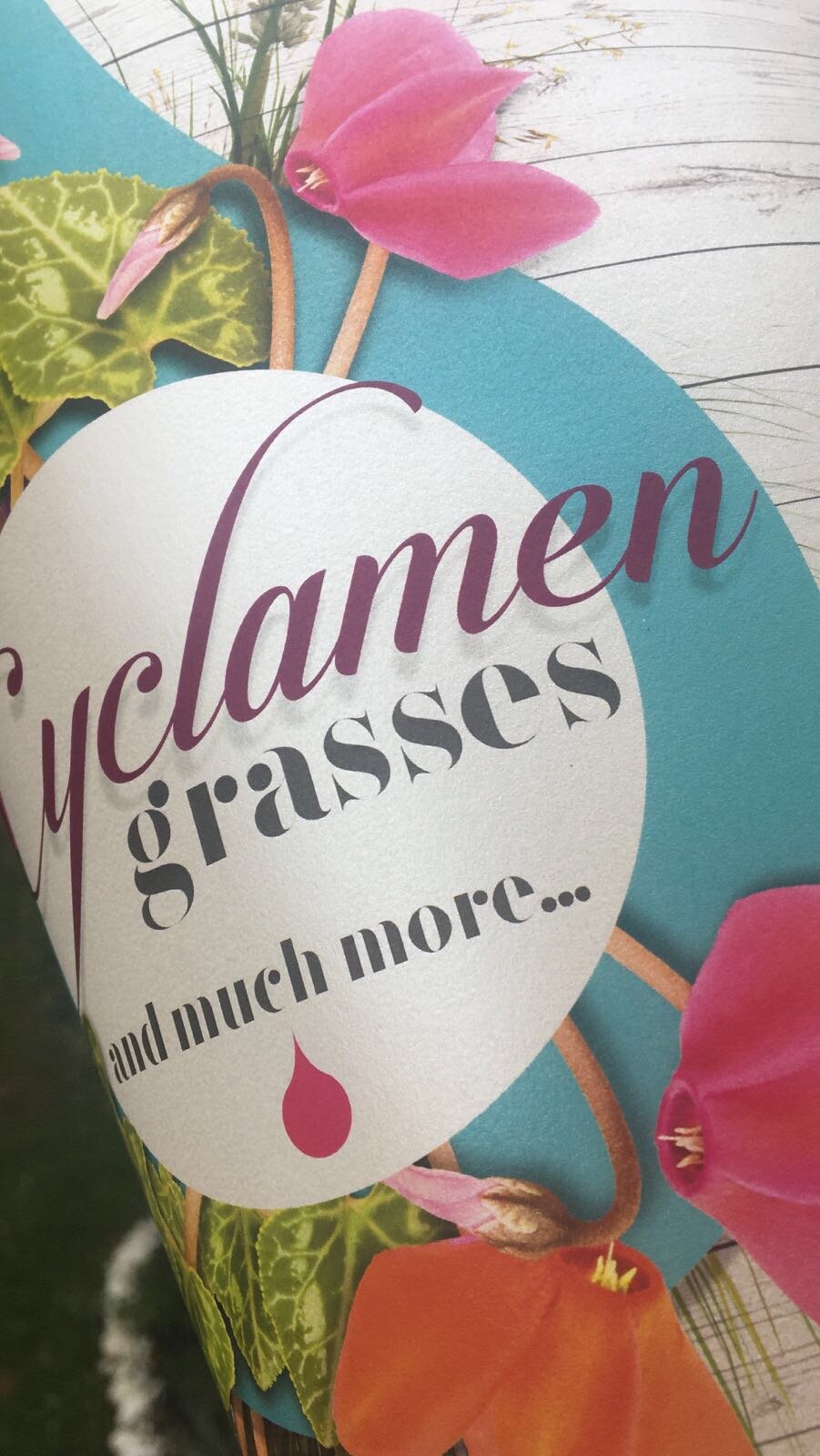 Cosa bolle in pentola