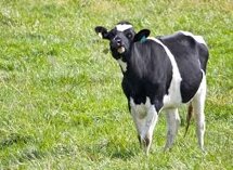 ca614c36-fe33-4ca5-a0cd-93a50bf9ed92 ca614c36-fe33-4ca5-a0cd-93a50bf9ed92