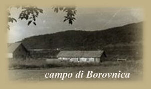 borovnica borovnica
