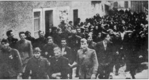 gorizia452 gorizia452