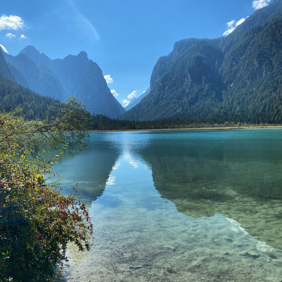 4f63c50d-f19f-442f-8abf-7a85f696c5da.jpeg 4f63c50d-f19f-442f-8abf-7a85f696c5da.jpeg