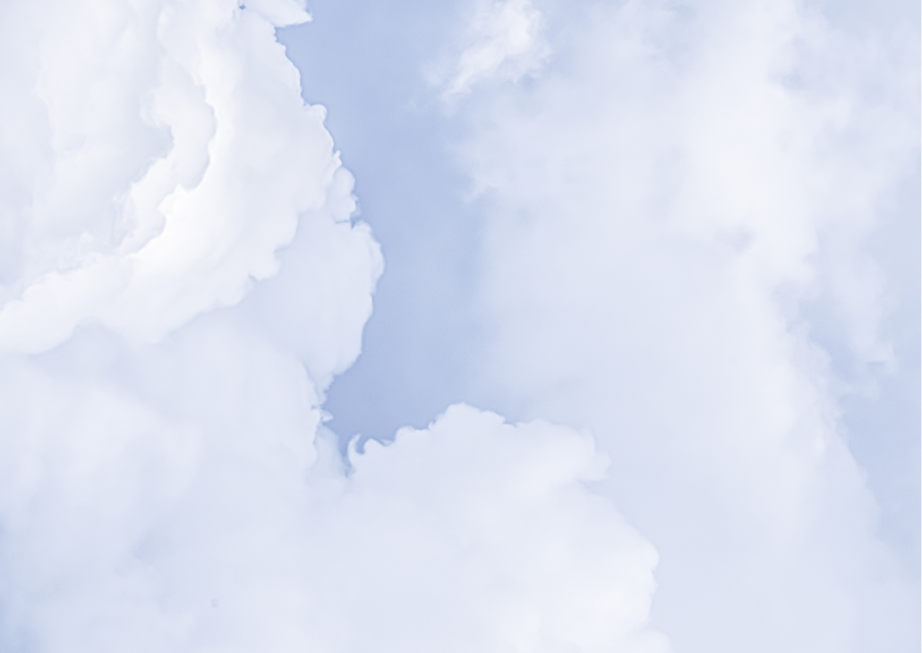 viola floreale immagine cartolina (1)