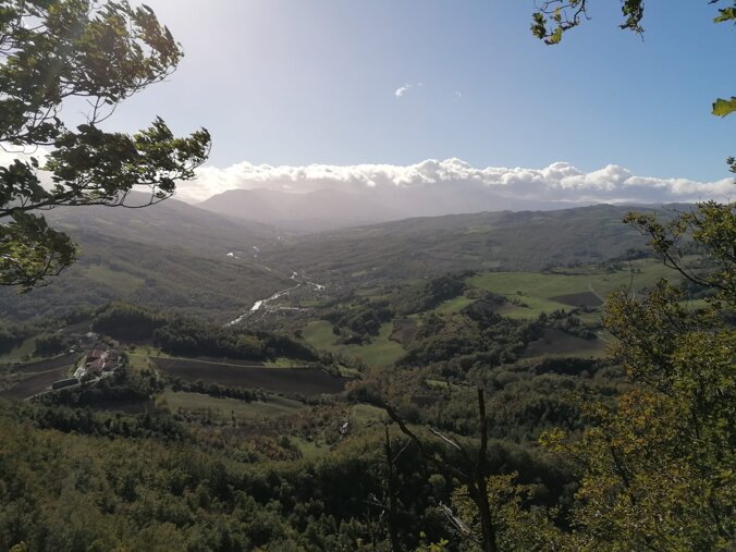 0bc8cbe5-a959-4a93-8f7a-9eec2e32a23b.jpeg 0bc8cbe5-a959-4a93-8f7a-9eec2e32a23b.jpeg