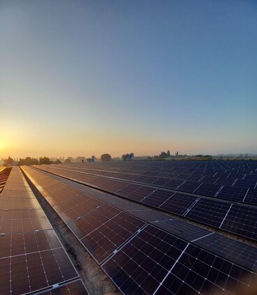 whatsapp image 2026-01-21 at 10.13.59 (2).jpeg