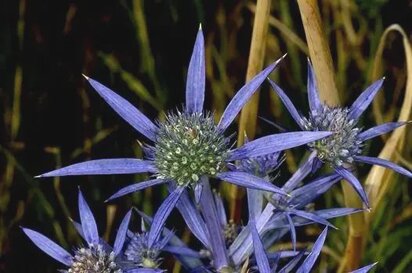 8dd267c3-5529-4039-8f8b-10f07326e240