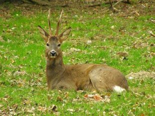 11d55b40-0534-4946-9bde-f58ea1c77699 11d55b40-0534-4946-9bde-f58ea1c77699