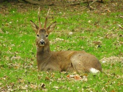 11d55b40-0534-4946-9bde-f58ea1c77699