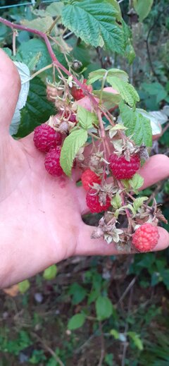 20191030_164528.jpeg 20191030_164528.jpeg