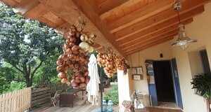 20191012_192932.jpeg 20191012_192932.jpeg