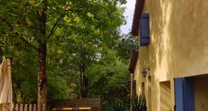 confettura di ciolle .jpeg confettura di ciolle .jpeg