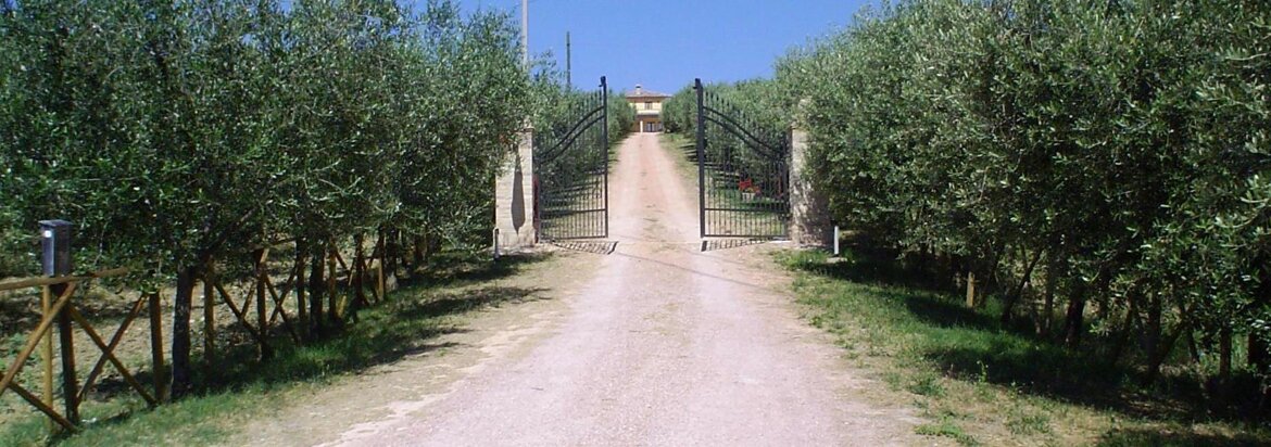 3cf32ea4-1321-4500-87a0-9b9e69b253c9