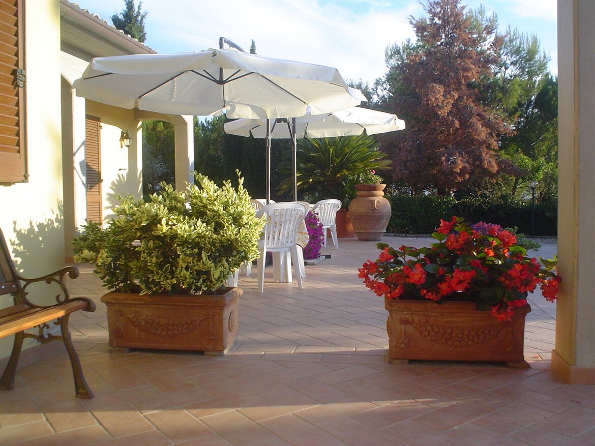 c6fa7869-af26-4fec-ae1f-c8a3ea6344f3 c6fa7869-af26-4fec-ae1f-c8a3ea6344f3