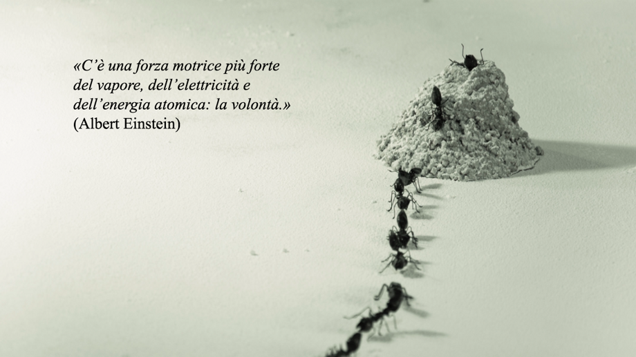 Descrizione immagine