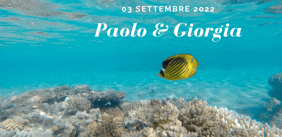 b957c67a-5d33-4c06-87f8-ee84b108f4dd