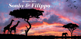 580f7d53-dece-4349-bed3-f53ff6bd9e45